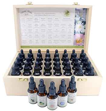 Two people with hands on mugs with a bottle of Flower Essence