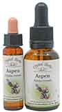 10ml and 25ml bottles of Aspen Bach Flower Remedy