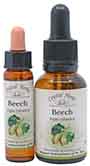 10ml and 25ml bottles of Beech Bach Flower Remedy
