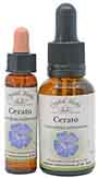 Cerato Bach Flower Remedy 10ml and 25ml bottles of Cerato Bach Flower Remedy