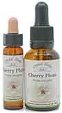 Cherry Plum Bach Flower Remedy 10ml and 25ml bottles of Cherry Plum Bach Flower Remedy
