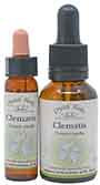 10ml and 25ml bottles of Clematis Bach Flower Remedy