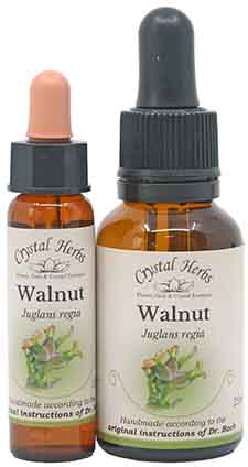 Walnut Bach Flower Remedy bottles