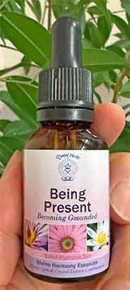 Being Present - for grounding and presence A bottle of the Being Present Essence