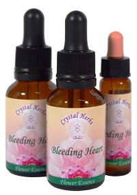 Bleeding Heart Flower Essences Bleeding Heart Flower Essences