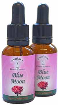 Blue Moon Flower Essence Bottles