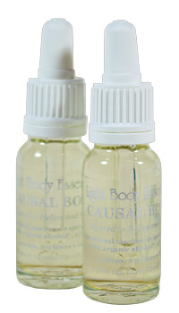 Causal Body Essence Causal Body Essence