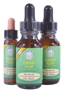 Cherry Plum - Bach Flower Remedies Cherry Plum - Bach Flower Remedies