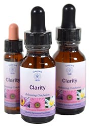 Clarity Essence Clarity Essence