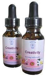 Creativity Essence Creativity Essence
