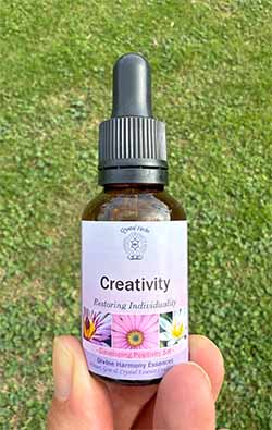 A bottle of the Creativity Essence