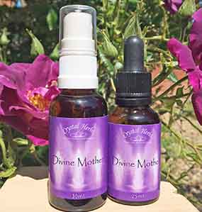 Divine Mother Essences Divine Mother Essences with roses