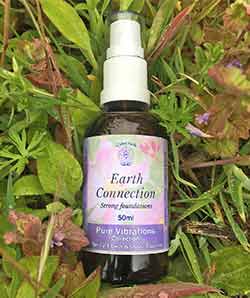 Earth Connection Spray Essence in foliage
