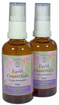 Earth Connection Spray Essence