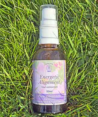 A bottle of Energetic Alignment Essence spray lying in grass