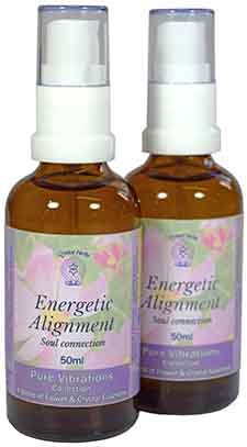 Energetic Alignment Essence Spray - two 50ml spray bottles