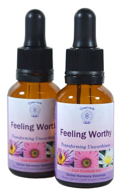 Feeling Worthy Essence - 2 x 25ml bottles