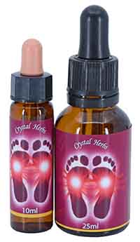 The Feet Chakra Essences Two bottles of the Feet Chakra Essence