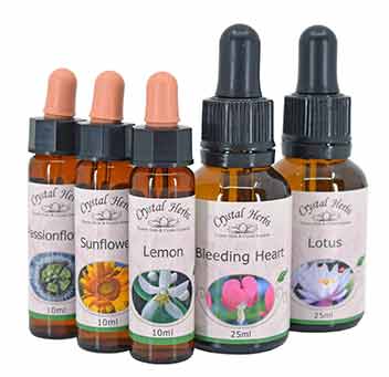 Single Flower Essence bottles