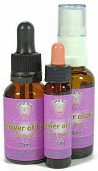 Two bottles of Strength and Courage Essence Spray