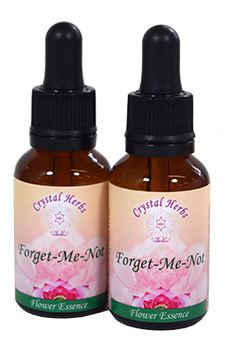 Forget Me Not Essence Forget Me Not Essence