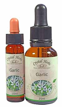 Two bottles of Garlic flower essence