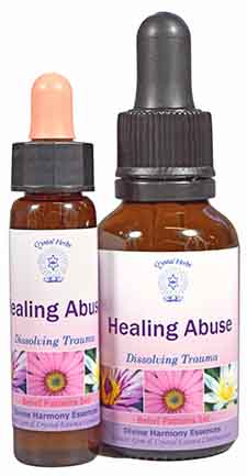 Healing Abuse Essence bottles