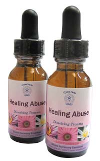 Healing Abuse Essence Healing Abuse Essence