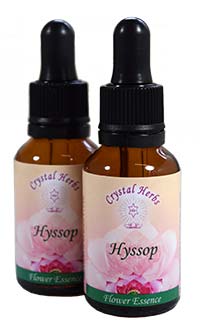 Hyssop Flower Essence