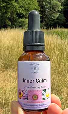 A bottle of Inner Calm Essence in nature