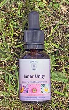 A bottle of the Inner Unity Essence lying on the grass