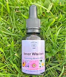 Inner Wisdom Essence A bottle of the Inner Wisdom Essence in grass in nature