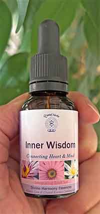 The Inner Wisdom Essence A bottle of the Inner Wisdom Essence held in a hand