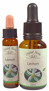 Lemon Flower Essence - 10ml & 25ml Bottles