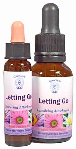 Letting Go Essences - 10ml & 25ml bottles