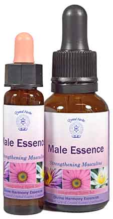 Male Essence Male Essence