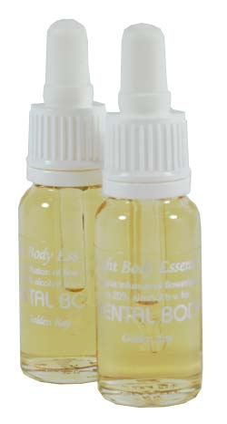The Mental Body Essence Mental Body Essence
