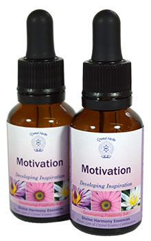 Motivation Essence - Developing Inspiration Motivation Essence - Developing Inspiration