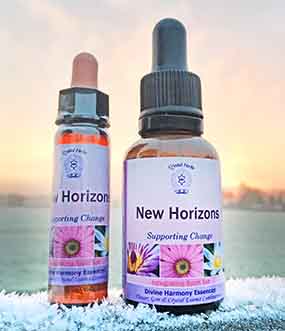 New Horizons Essence in a frosty field