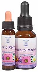 Open to Receive - Divine Harmony Essences