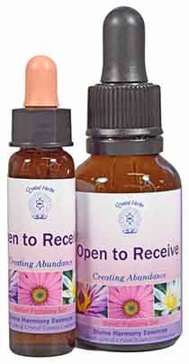 Open to Receive Essence Two bottles of Open to Receive combination