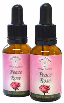 Peace Rose Flower Essence Peace Rose Flower Essence