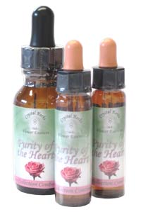 Purity of Heart Essence Purity of Heart