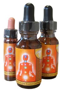 The Sacral Chakra Essence