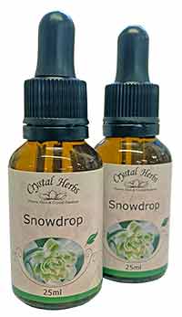 Snowdrop Flower Essence Snowdrop Flower Essences - 2 25ml Bottles of Essence