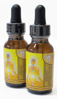 Solar Plexus Chakra Essence Solar Plexus Chakra Essence