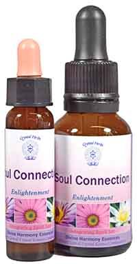 The Soul Connection Essence A 10ml and 25ml bottle of the Soul Connection Essence