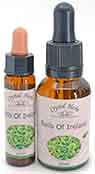 Bells of Ireland Flower Essences Bells of Ireland Flower Essences - a 10ml and 25ml bottle