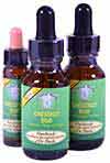 Chestnut Bud Bach Remedy Chestnut Bud Remedy - 10ml & 25ml Bottles