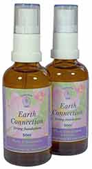 Two bottles of Earth Connection Spray Essences - 50ml size